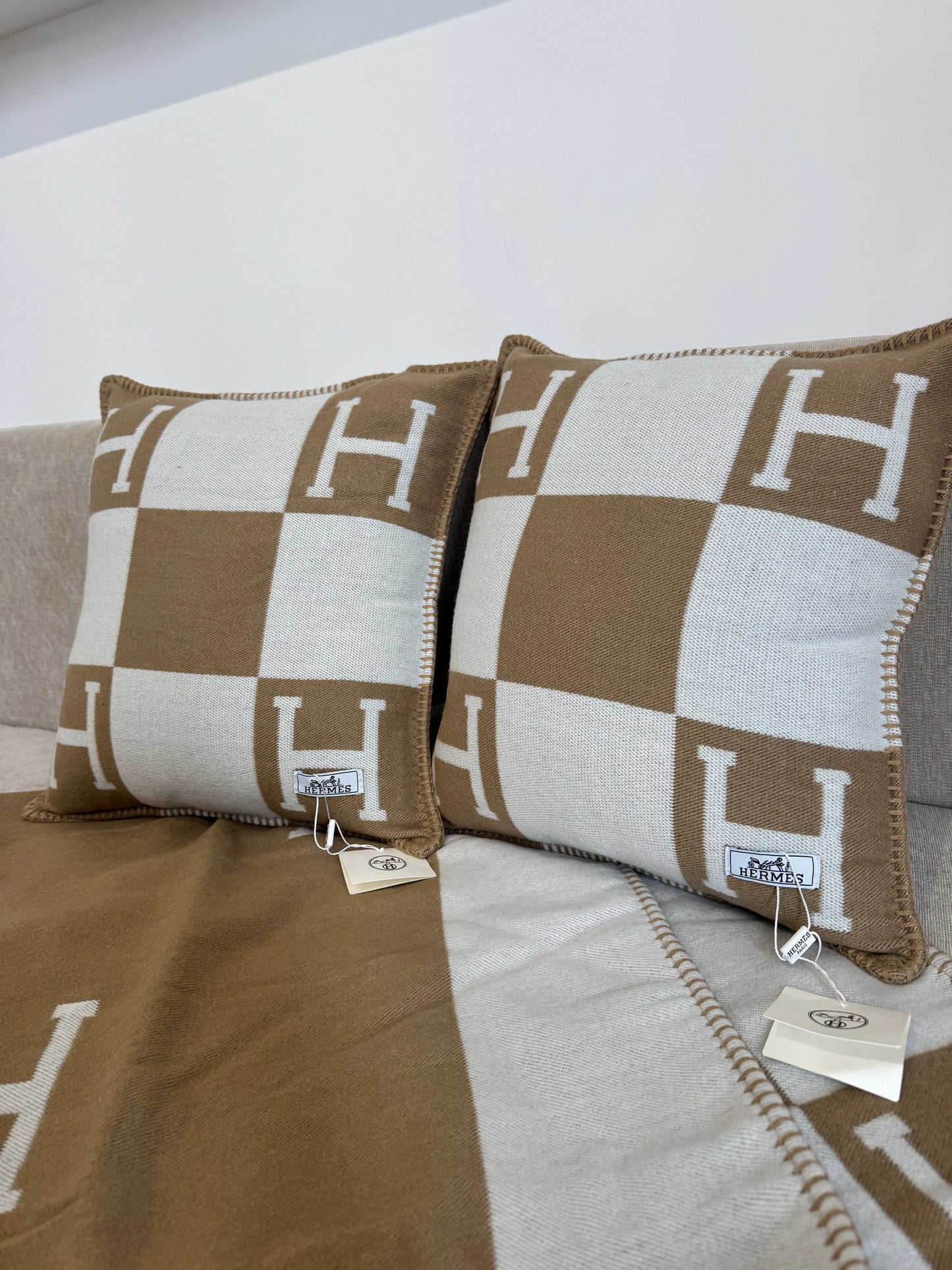 Coppia cuscini beige 40x44